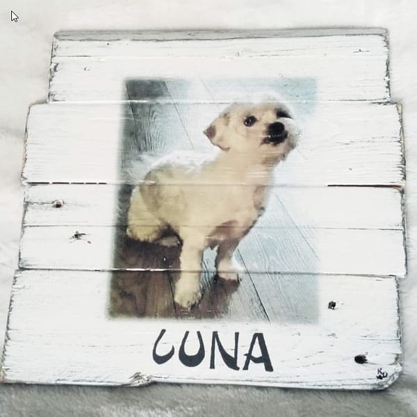 Deco-bord van pallethout met foto hond "Luna" , naam eronder geschilderd