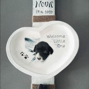 Geboorte bordje voor puppy "Nova" voorzien van foto, naam en datum, gemaakt van pallethout.