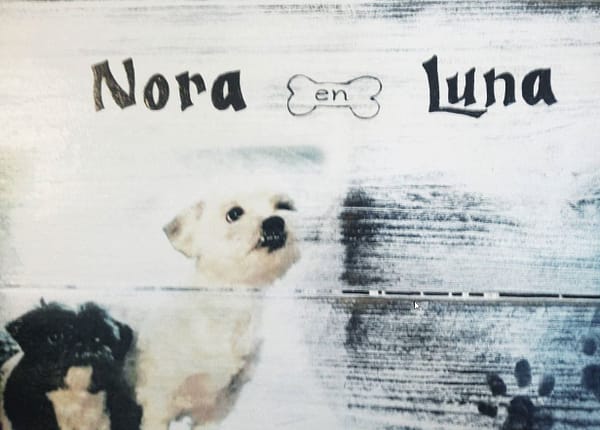 Bord gemaakt van pallethout in landelijke stijl met foto van hondjes en handgeschilderde details