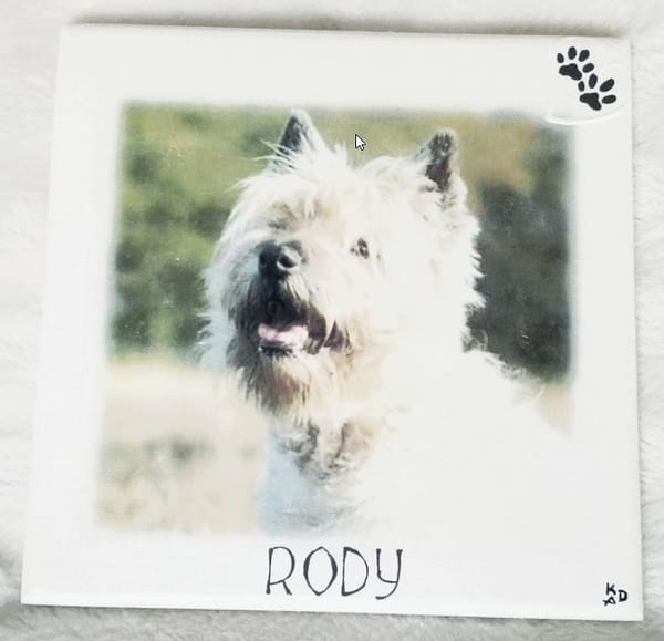 Foto van Rody op MDF met naam hartje en hondenpootje erop geschilderd