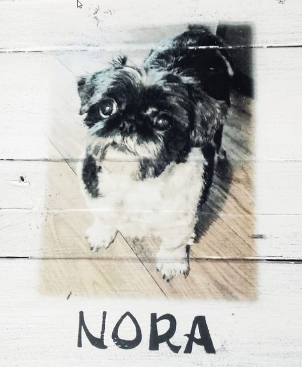 Deco-bord van pallethout met foto hond "Nora" , naam eronder geschilderd