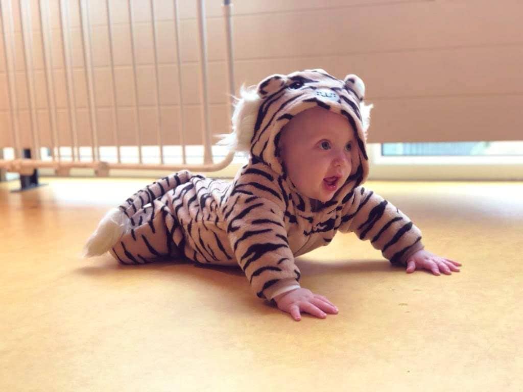 Baby tijger Milan