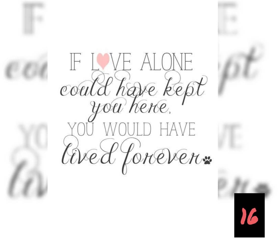 Teksten 16 - If love alone-lived forever