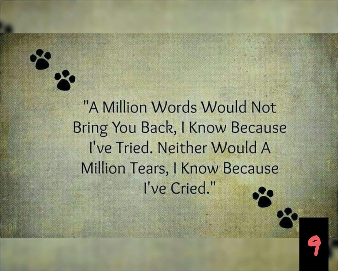 Teksten 09 - Million words-million tears