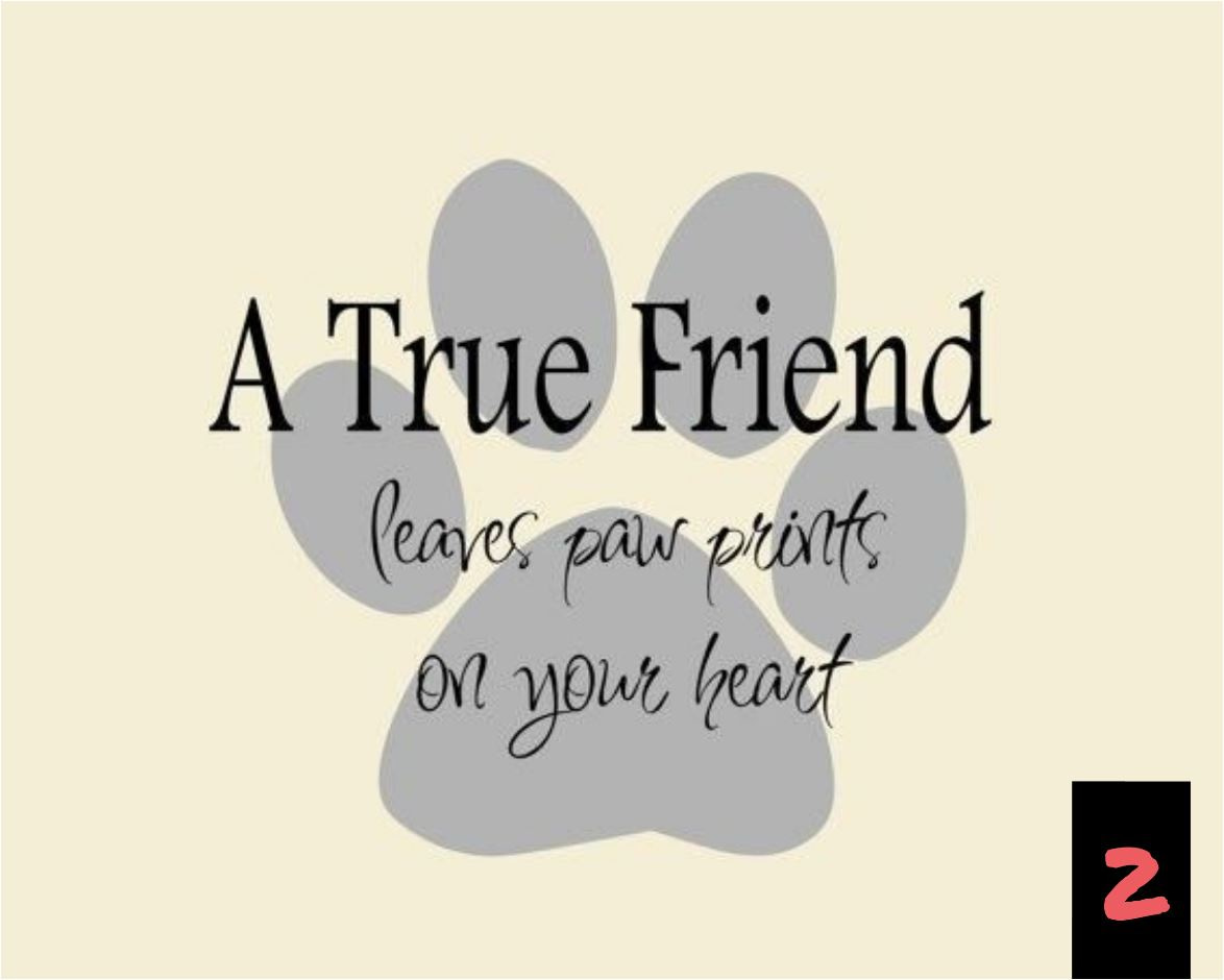 Teksten 02 - A true friend