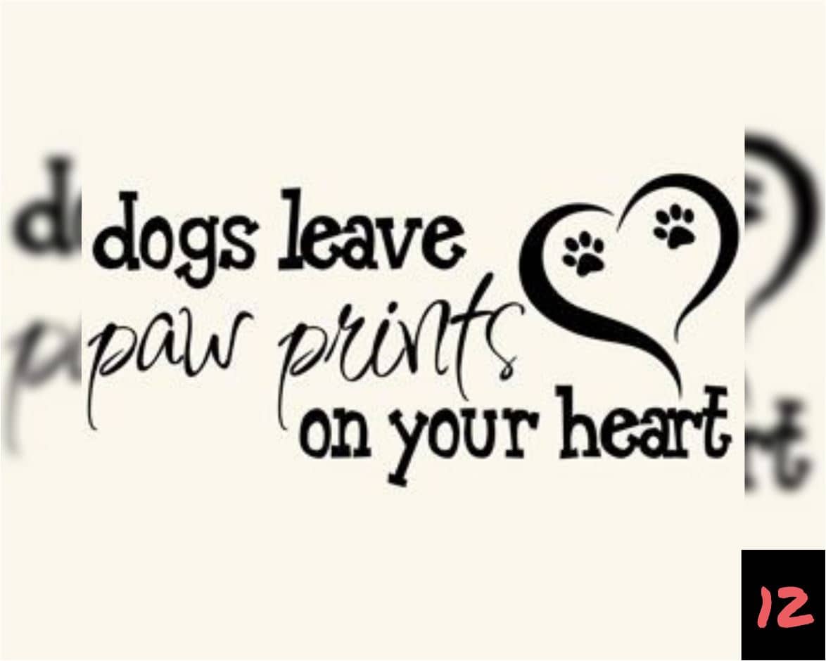 Teksten 12 - Dogs leave paw prints on your heart