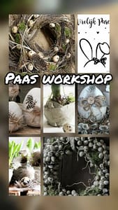 Workshop: Paas special