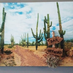 Schilderij - Cactus met 3D-effect