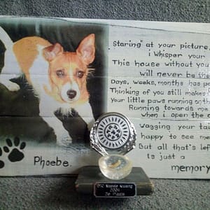 Herinneringsbord "Phoebe" met foto, gedicht en tandje verwerkt.