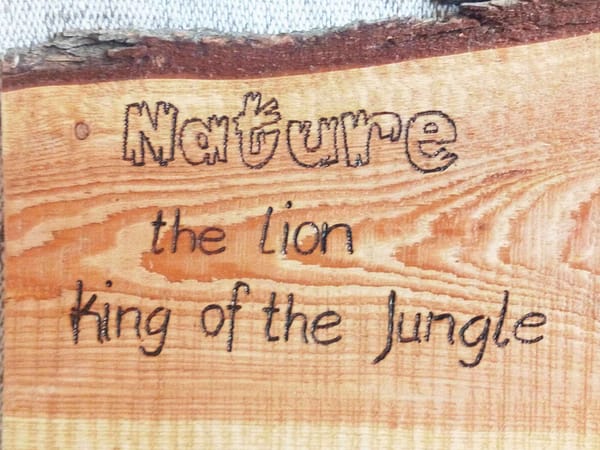 Nature - Lion King of the Jungle