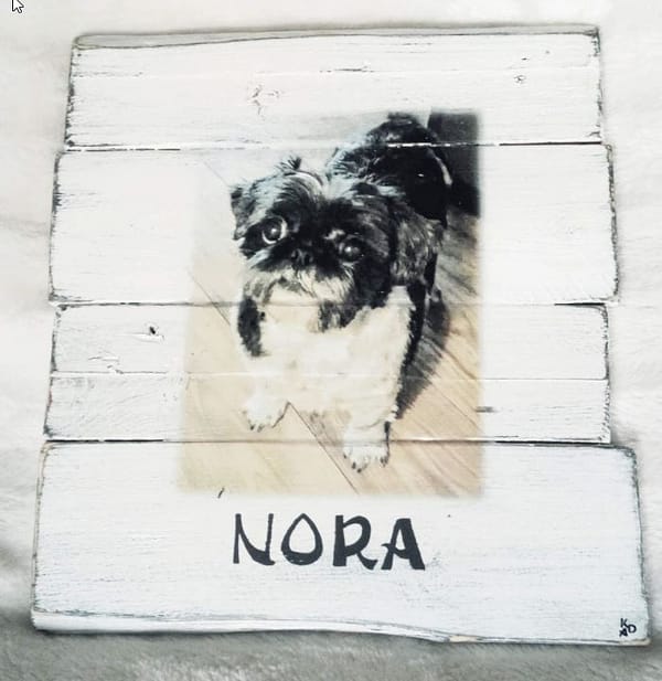 Deco-bord van Palletrhout met foto hond "Nora" , naam eronder geschilderd