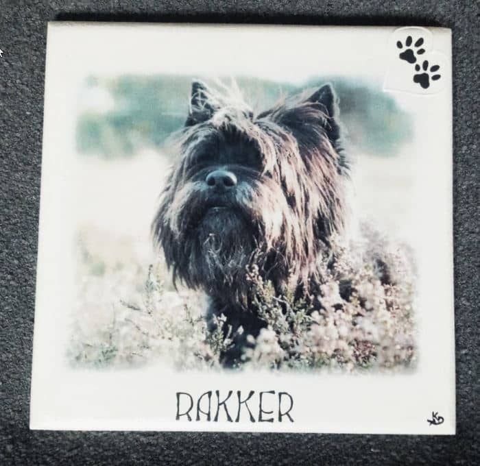 Foto van Rakker op MDF met naam hartje en hondenpootje erop geschilderd