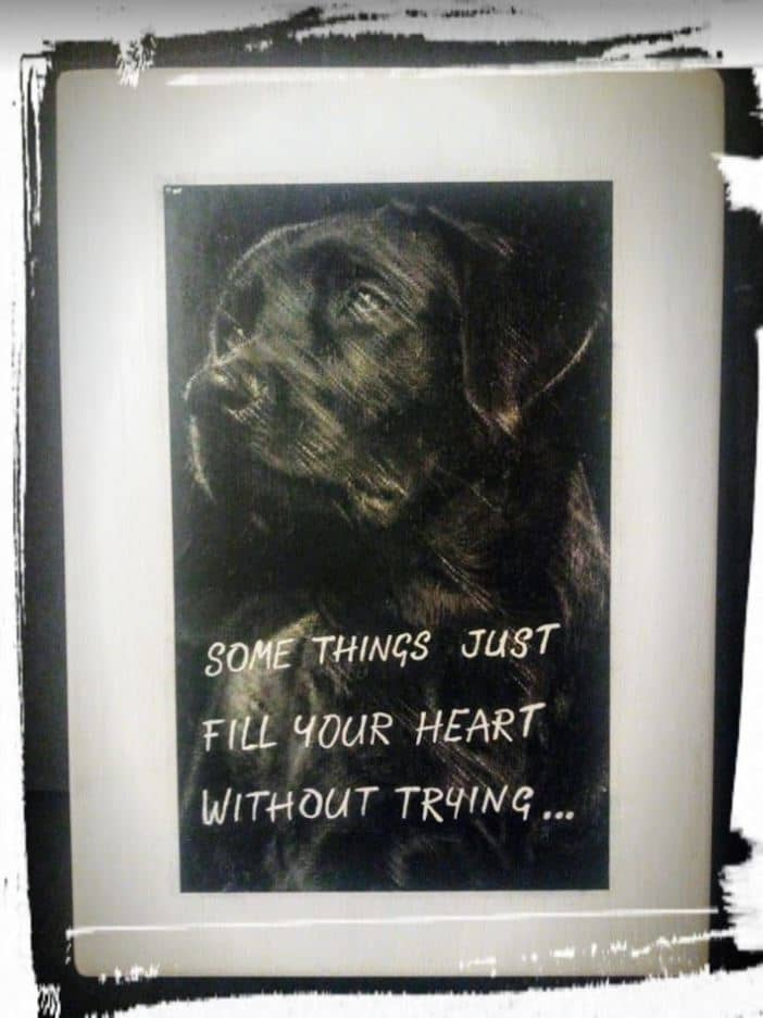 Bord met foto van overleden huisdier en gedicht. "Some things"